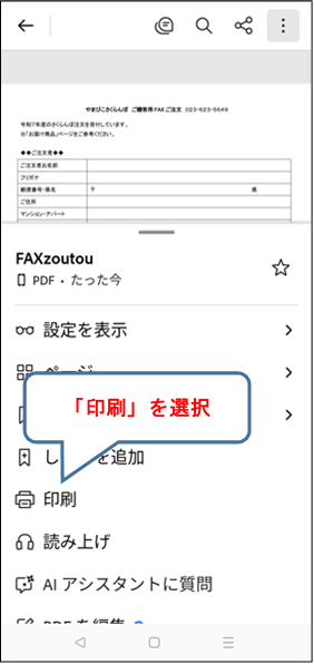 FAXs06.png(34774 byte)